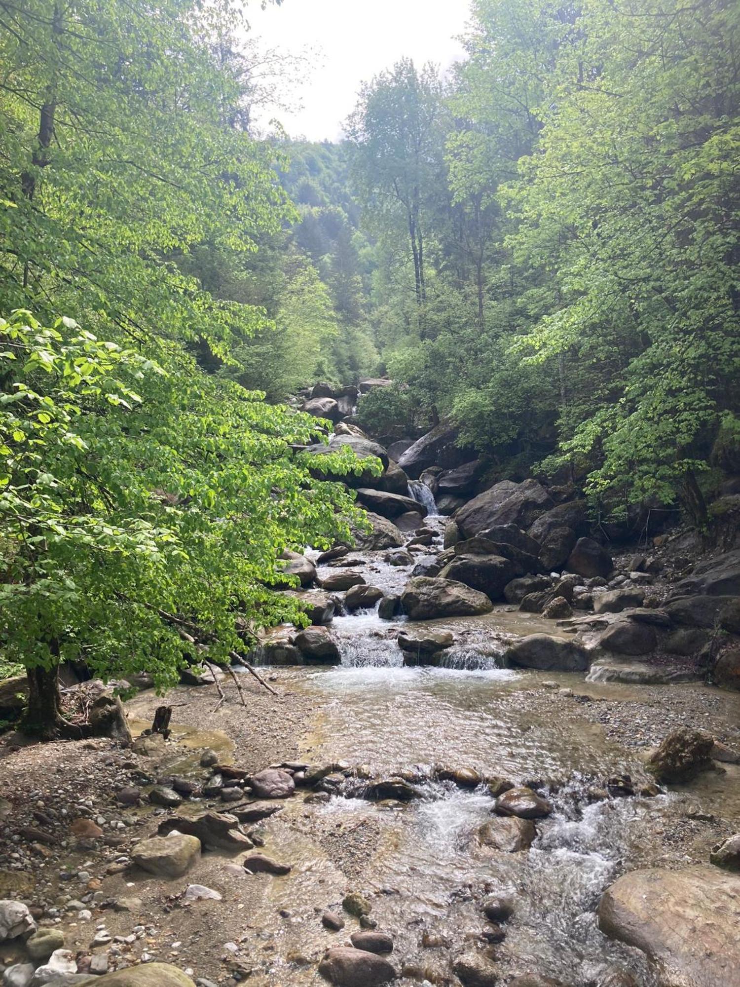Ortighera Monolocale Relax Sulla Ciclabile Lenna Luaran gambar