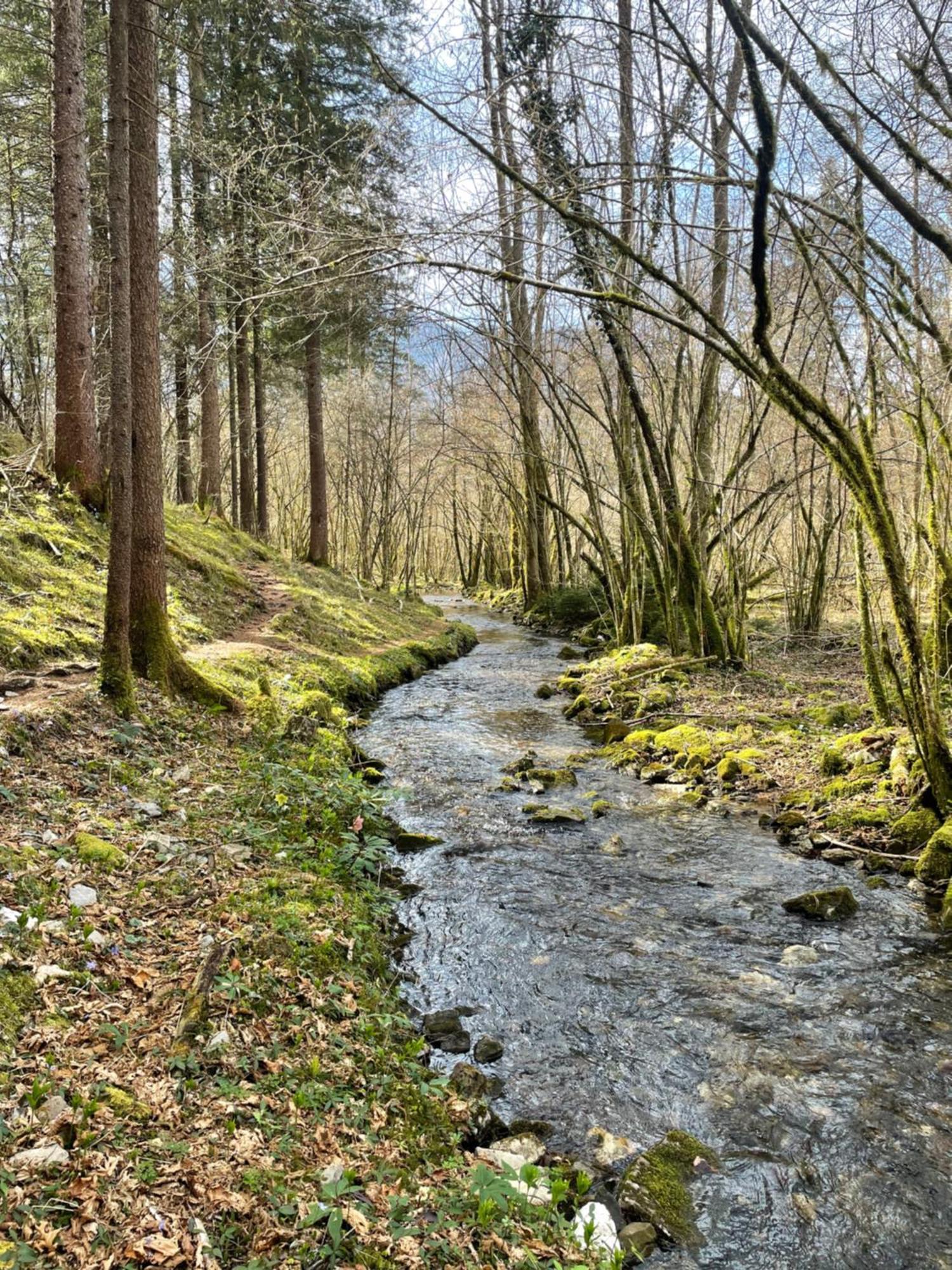 Ortighera Monolocale Relax Sulla Ciclabile Lenna Luaran gambar