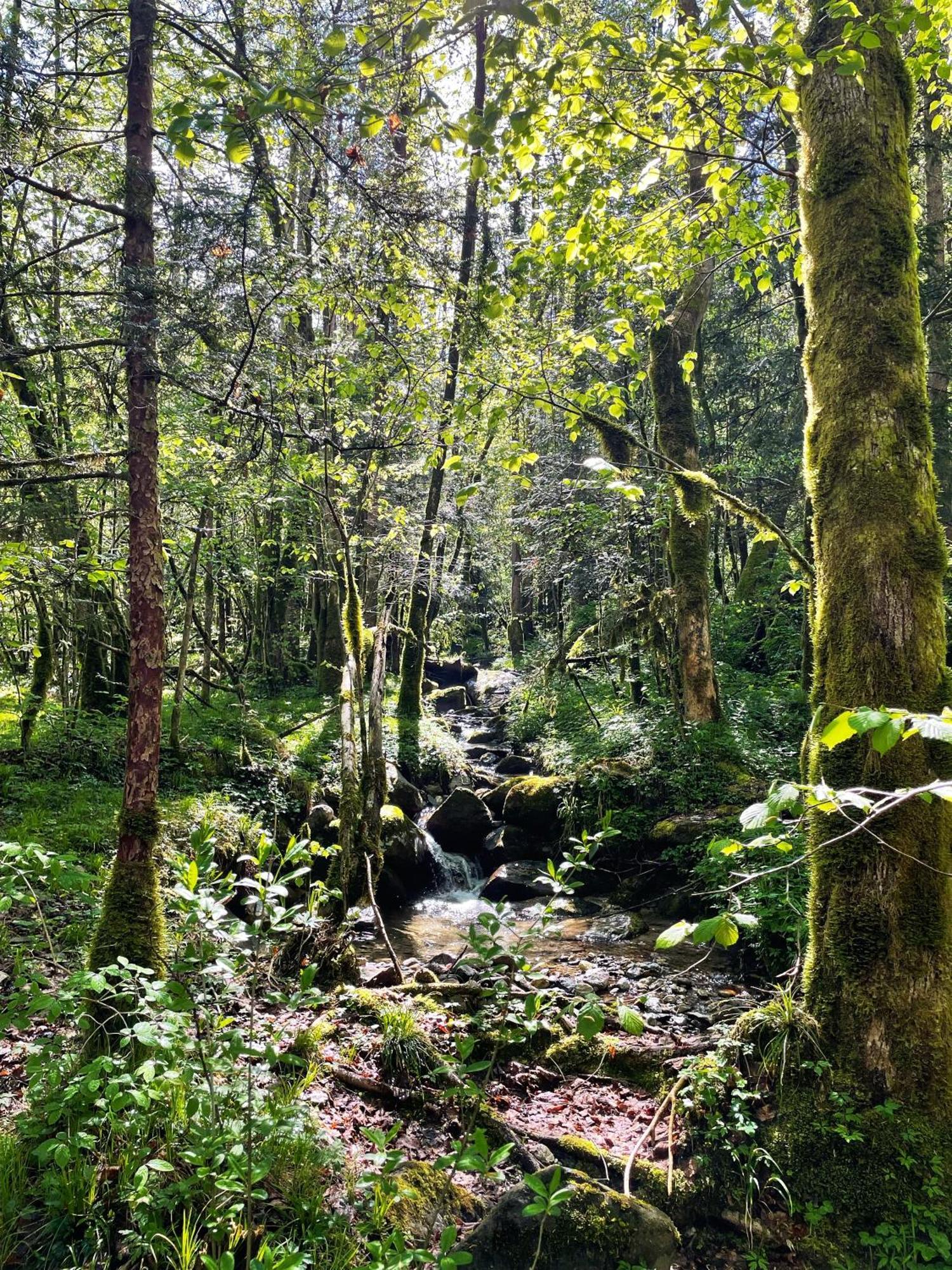 Ortighera Monolocale Relax Sulla Ciclabile Lenna Luaran gambar